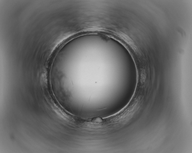 X0000111531356200907141519