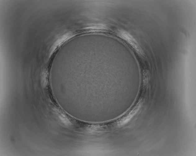 X0000111531357200907141519