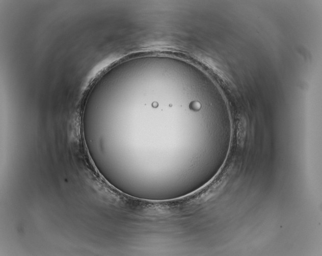 X0000111531358200907141519