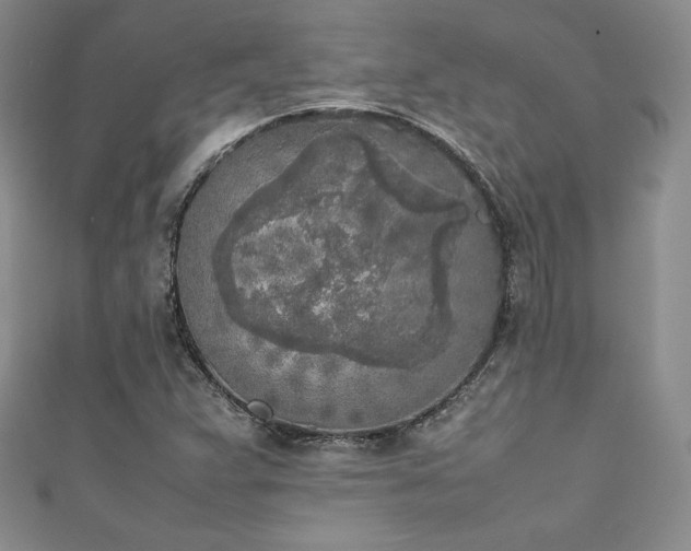 X0000111531359200907141519