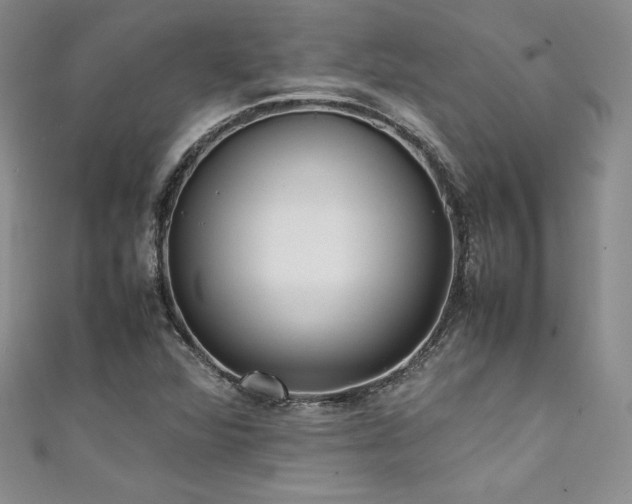 X0000111531360200907141519