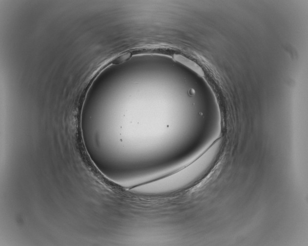 X0000111531361200907141519