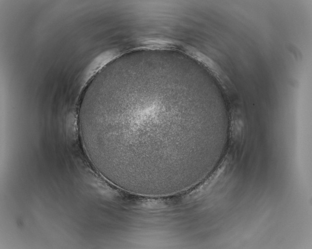 X0000111531362200907141519