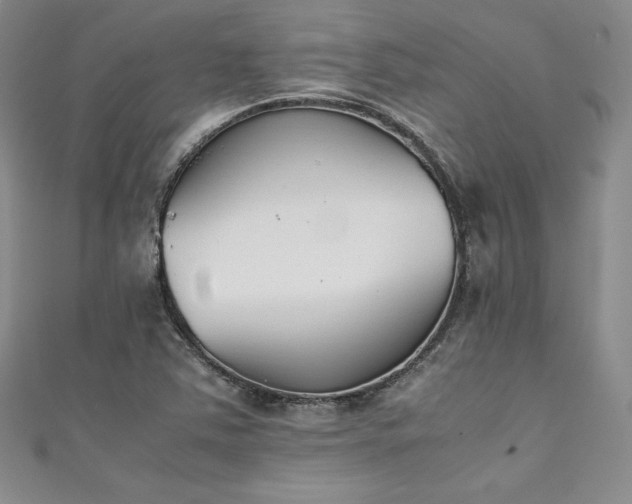 X0000111531363200907141519