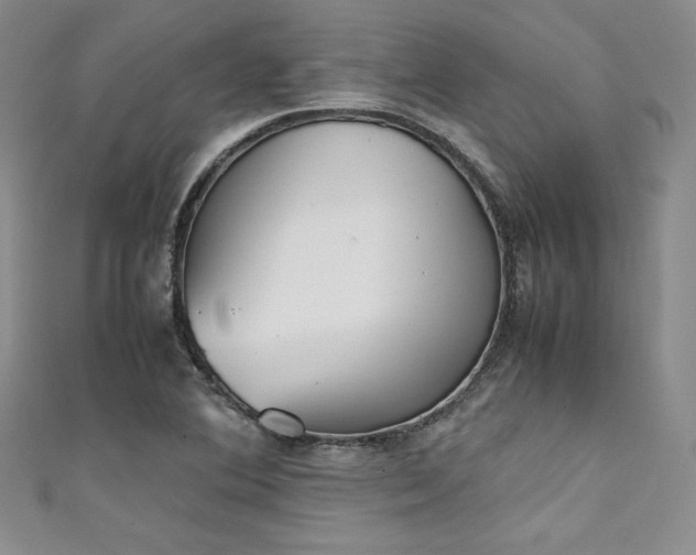 X0000111531364200907141519