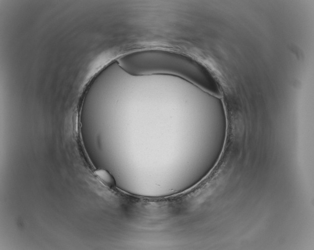 X0000111531365200907141519