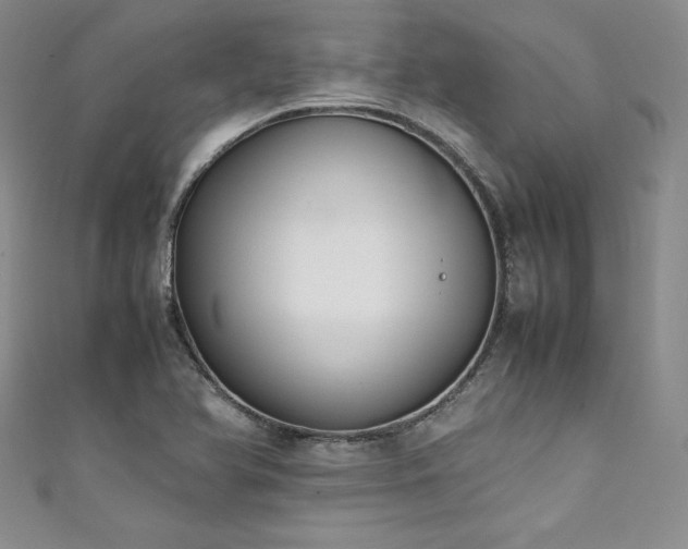 X0000111531366200907141519