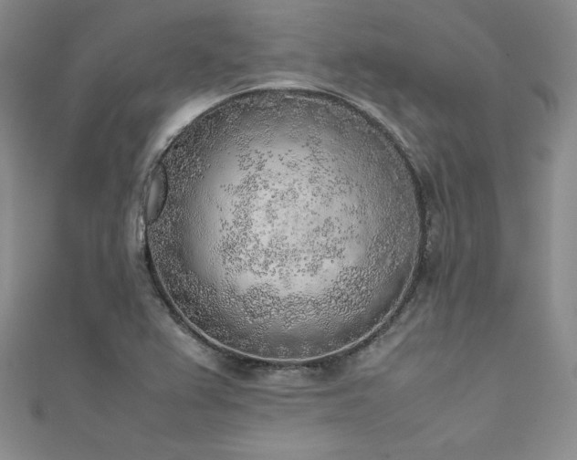 X0000111531367200907141519