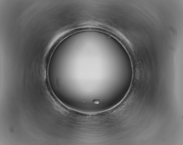 X0000111531368200907141519