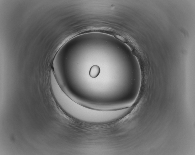 X0000111531369200907141519