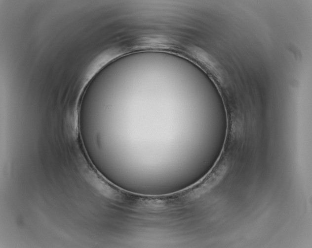 X0000111531370200907141519