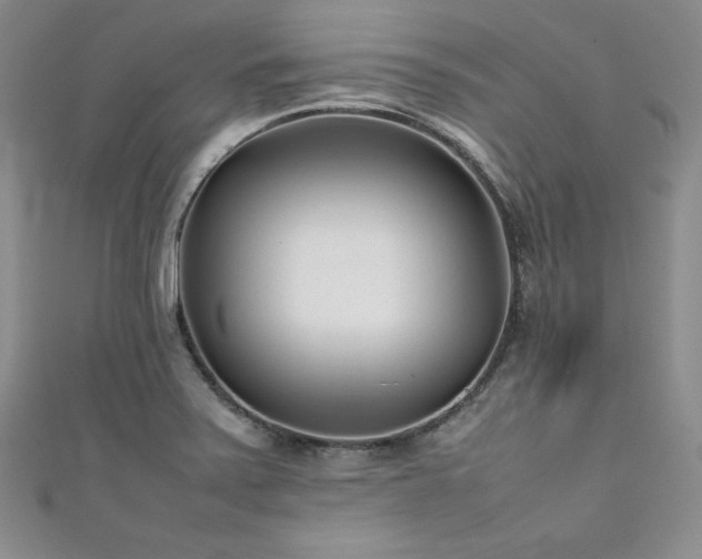 X0000111531371200907141519