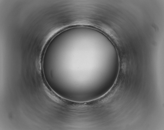 X0000111531372200907141519