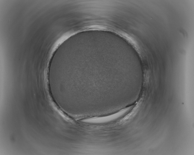 X0000111531373200907141519