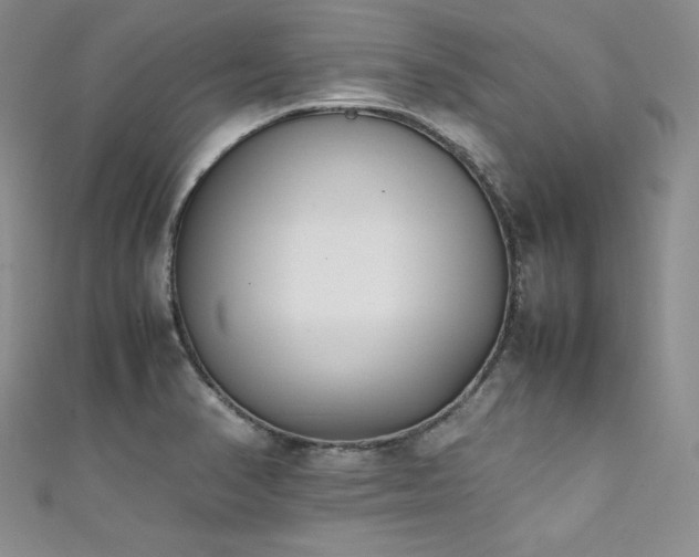 X0000111531374200907141519