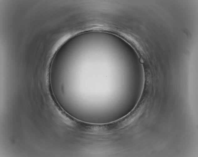 X0000111531375200907141519