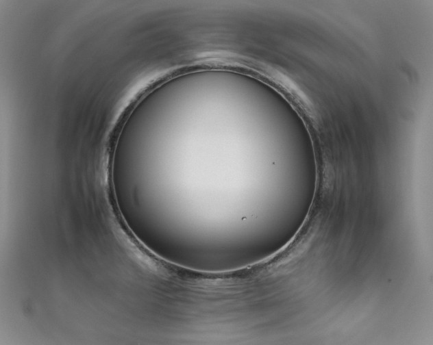 X0000111531376200907141519