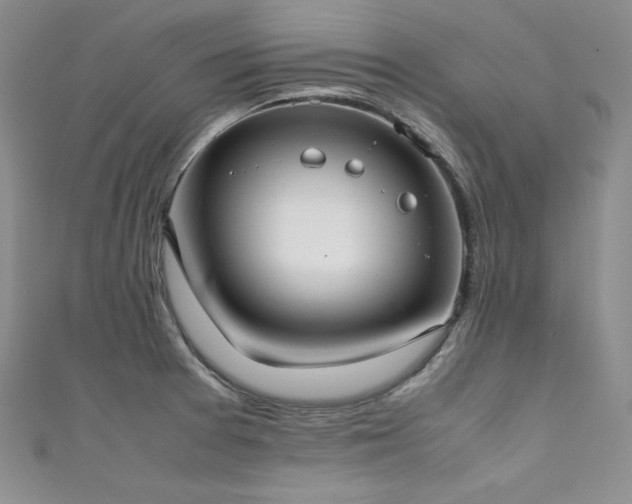 X0000111531377200907141519