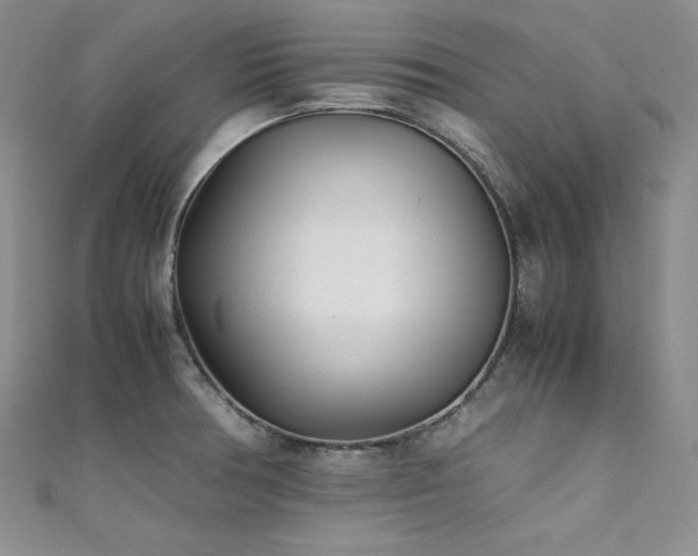 X0000111531378200907141519