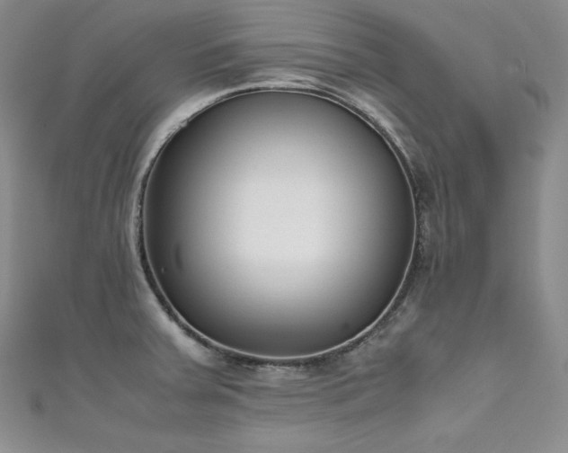 X0000111531379200907141519