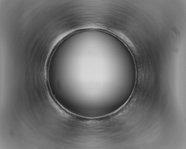 X0000111531380200907141519