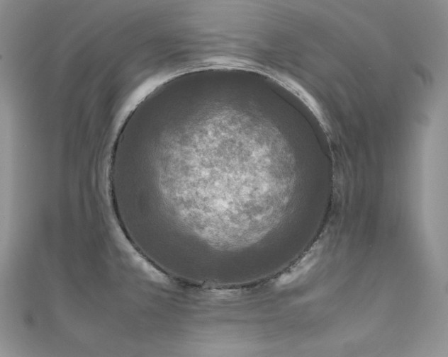 X0000111531381200907141519