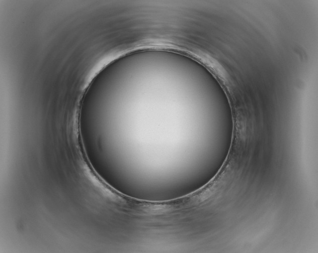 X0000111531382200907141519