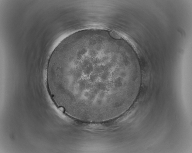 X0000111531383200907141519