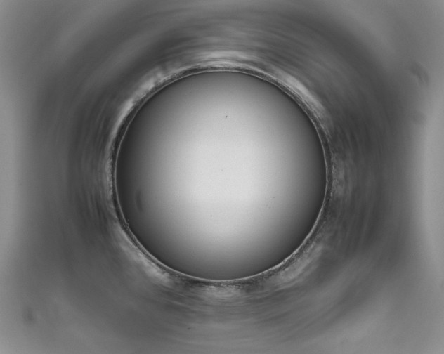 X0000111531384200907141519