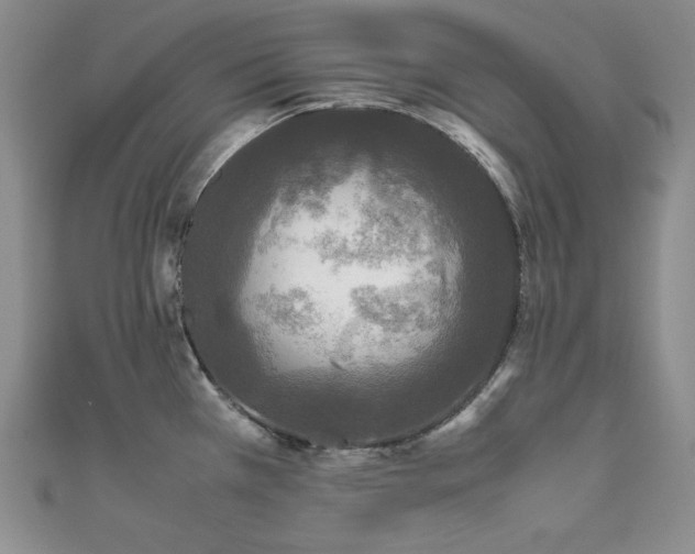 X0000111531385200907141519