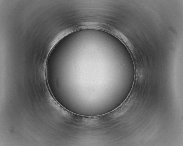 X0000111531386200907141519