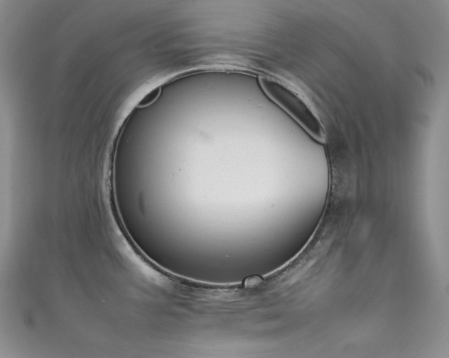 X0000111531387200907141519