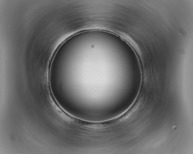 X0000111531388200907141519