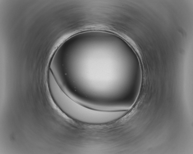 X0000111531389200907141519