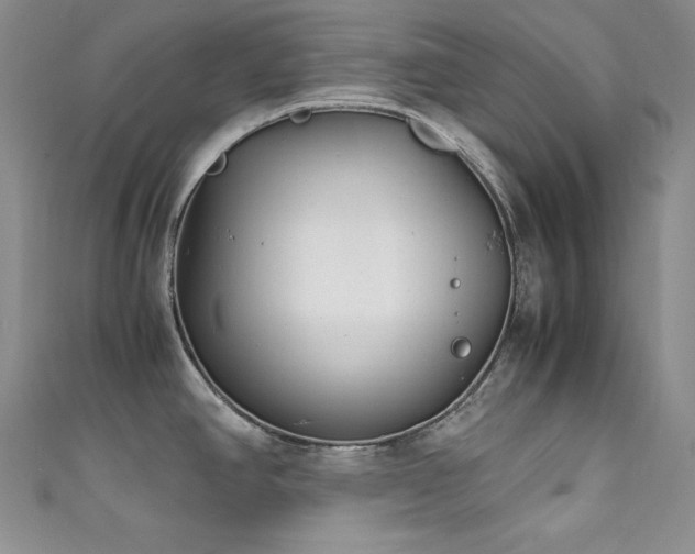 X0000111531390200907141519