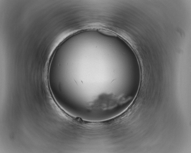 X0000111531392200907141519