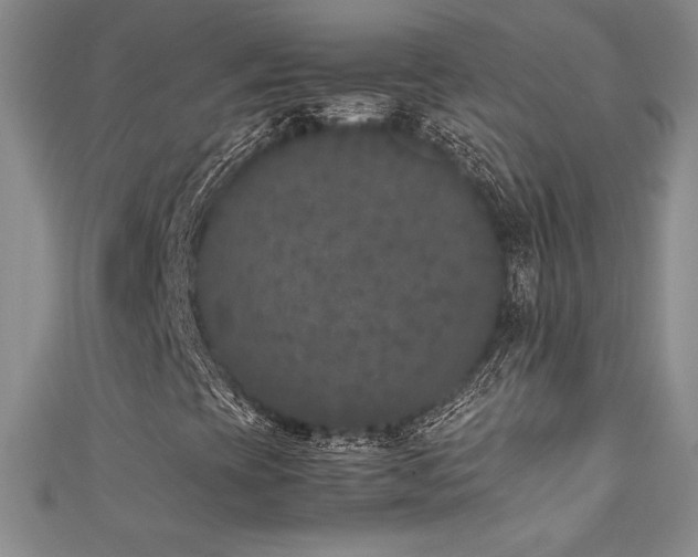 X0000111531393200907141518