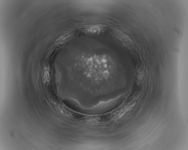 X0000111531394200907141518