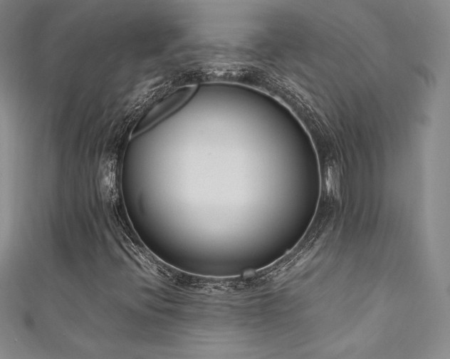 X0000111531396200907141518