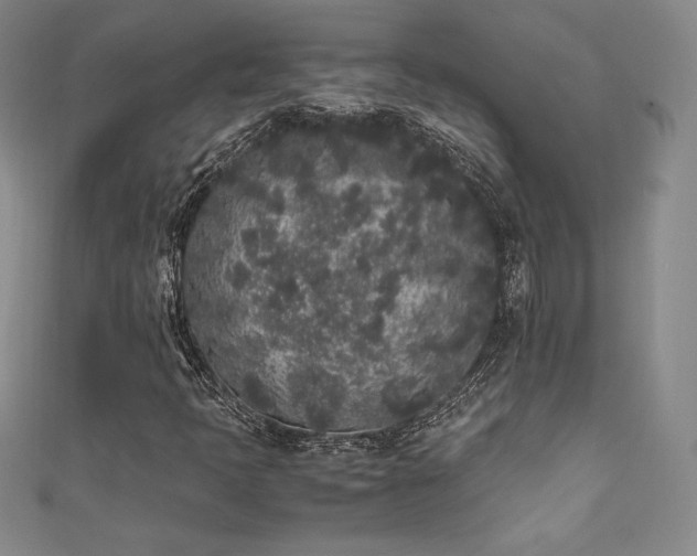 X0000111531397200907141518