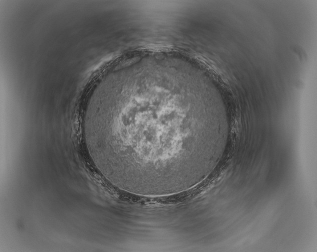 X0000111531398200907141518