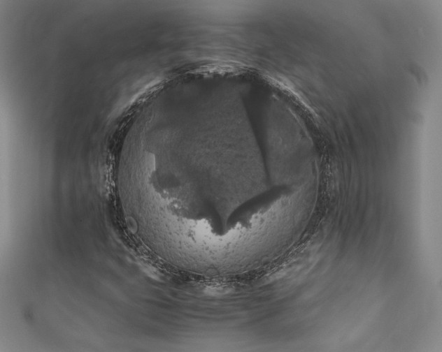 X0000111531399200907141518