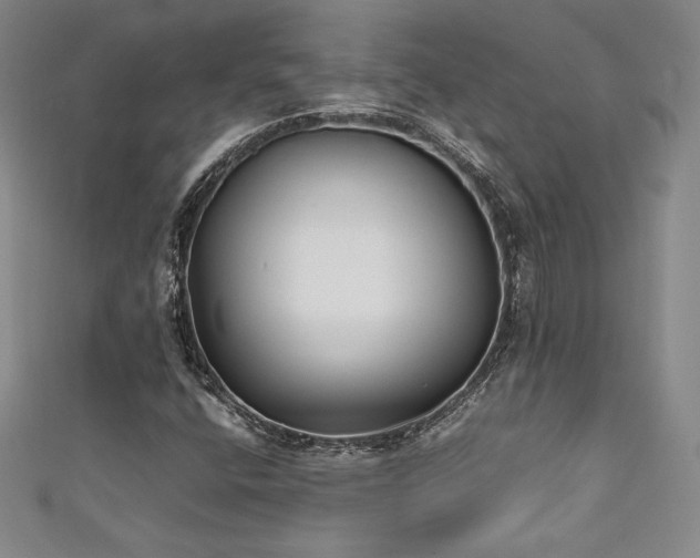 X0000111531400200907141519