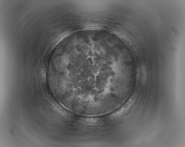 X0000111531401200907141519