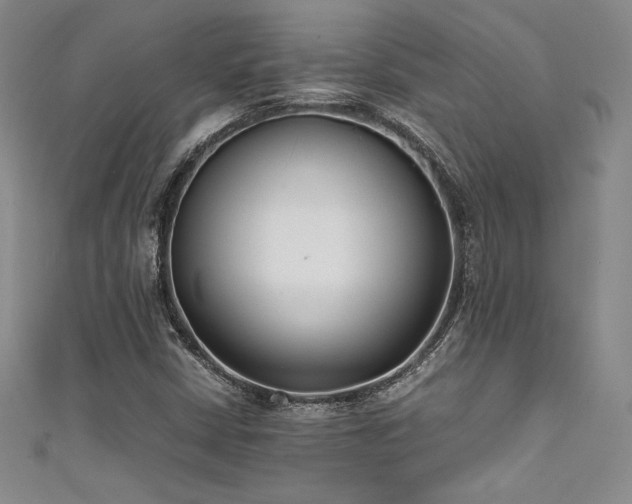 X0000111531402200907141519