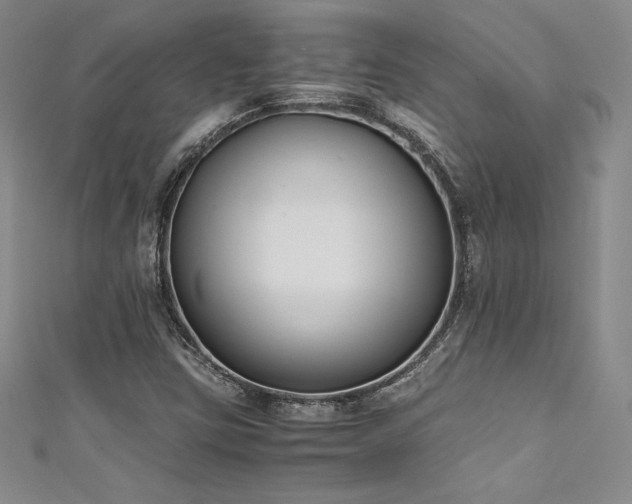 X0000111531403200907141519