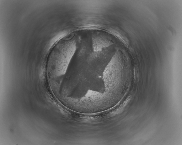 X0000111531405200907141519