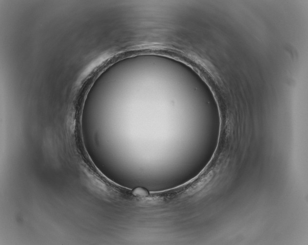 X0000111531406200907141519