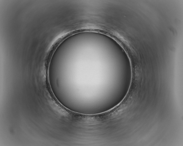 X0000111531408200907141519