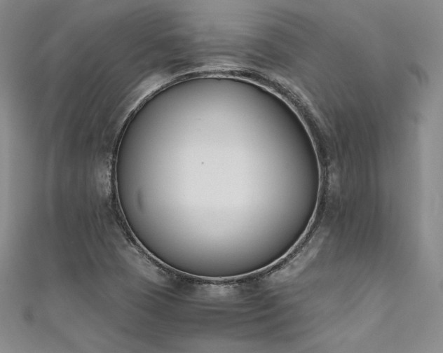 X0000111531409200907141519